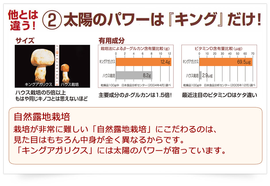 太陽のパワーはキングアガリクスだけ