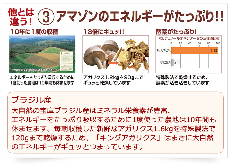 キングアガリクスはアマゾンのエネルギーがたっぷり